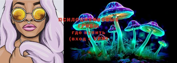спиды Фурманов