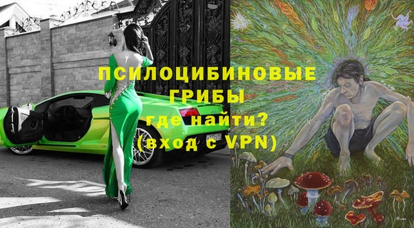 Альфа ПВП Пролетарск